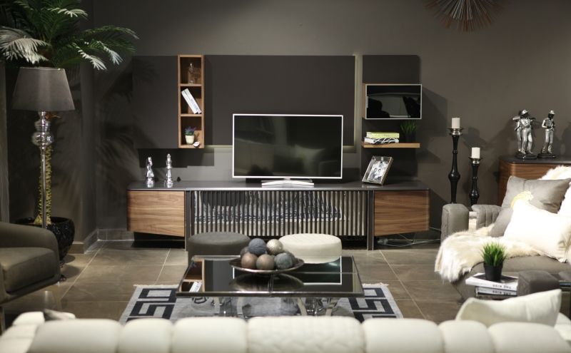 Lion Tv Unit